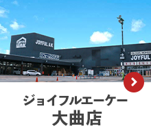 ジョイフルエーケー大曲店