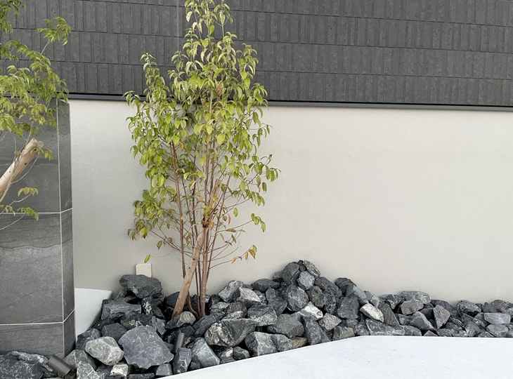 シンボルツリーの選び方