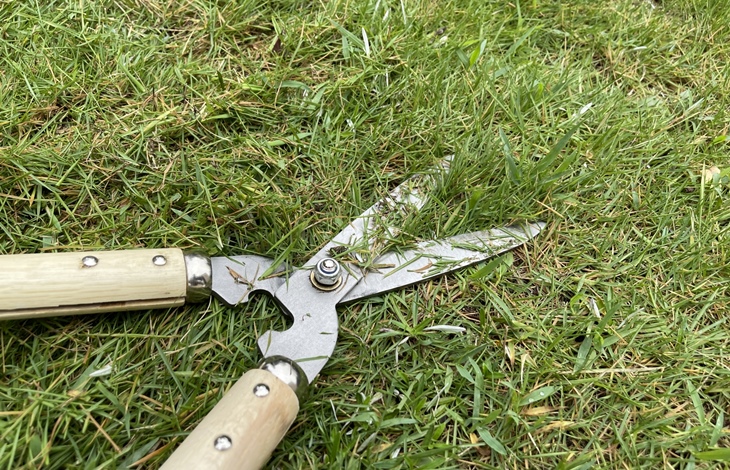 天然芝が嫌になったらリフォーム出来る？