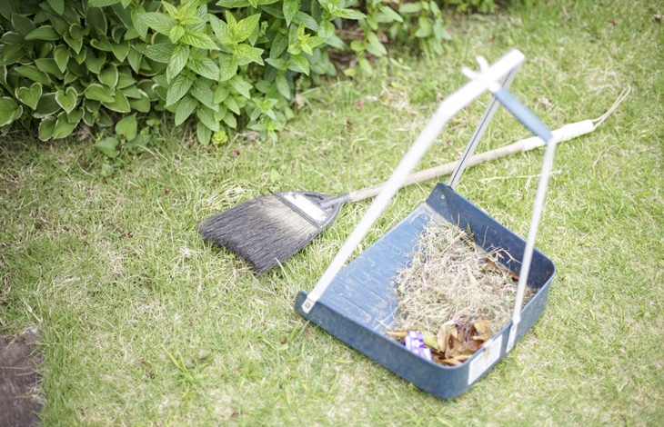 天然芝を美しく保つためには相応の努力が必要