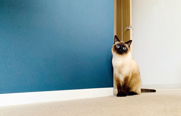 場所別リノベーションポイント