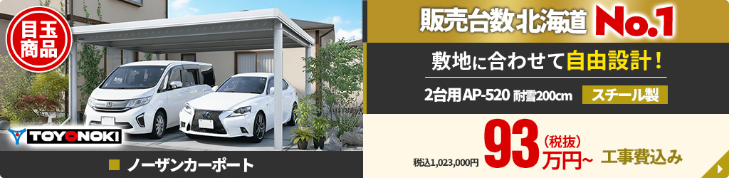 販売台数北海道No.1 敷地に合わせて自由設計！2台用AP-520、耐雪200cm、スチール製 TOYONOKI ノーザンカーポート