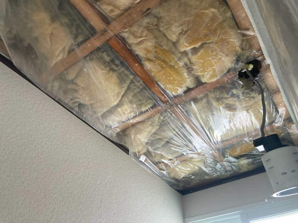 天井の断熱材は雨漏りの影響で水分を含んでいました。