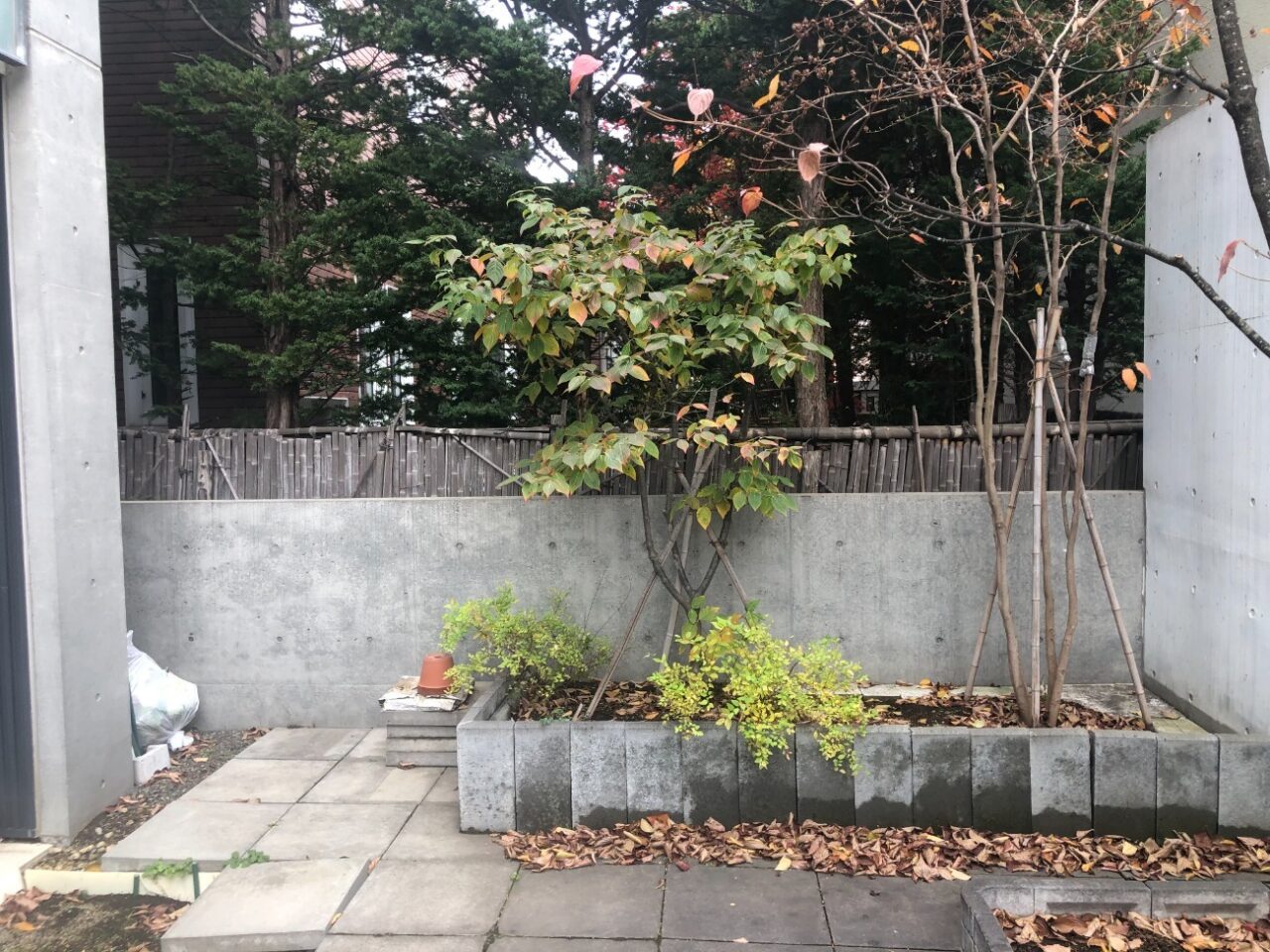 中庭の花壇まわりはブロックにずれが見られ、床に敷かれたタイルにも部分的なずれが生じ、コンクリート壁の表面には汚れが目立ち、全体的にメンテナンスが必要な状態